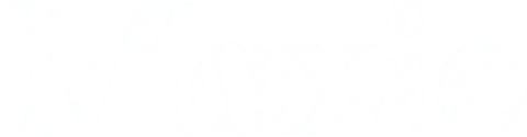 Building an All-in-One Platform for Managing Aesthetic Practices That Helped Drive 10x Client Growth logo